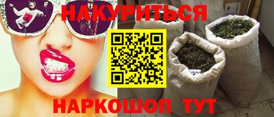 стаф Кингисепп