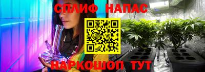 стаф Кингисепп