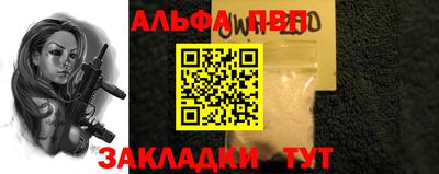 стаф Кингисепп