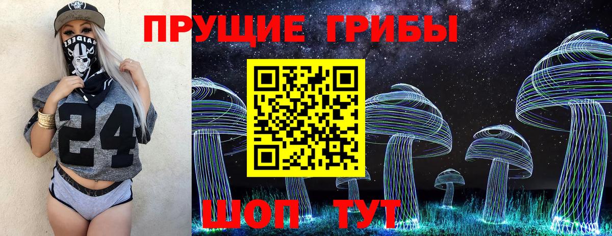 Псилоцибиновые грибы Psilocybine cubensis  Вход с VPN  Псилоцибиновые грибы Cubensis  Курчатов 