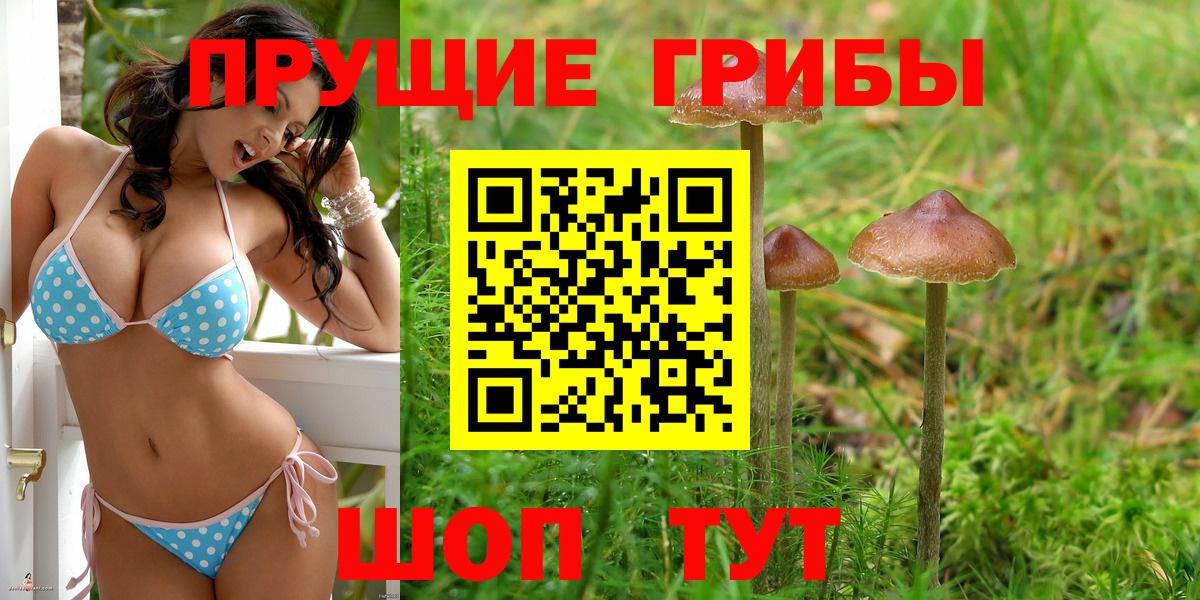 Галлюциногенные грибы GOLDEN TEACHER Курчатов